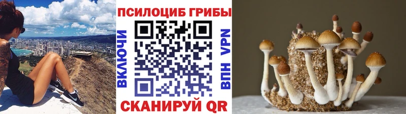Галлюциногенные грибы GOLDEN TEACHER  Тихвин 